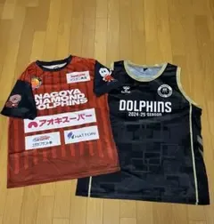Bリーグ 名古屋ダイヤモンドドルフィンズ 2枚セット