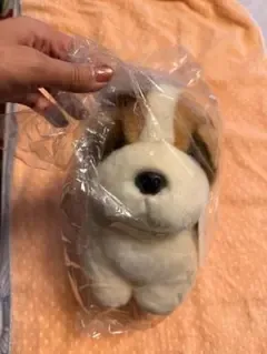 HIROKUN HOUSE ぎんた ぬいぐるみ