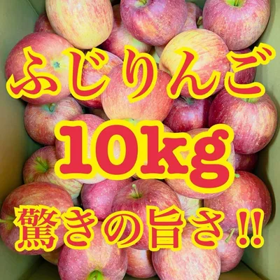 送料無料‼︎ ふじりんご ご家庭向け10kg