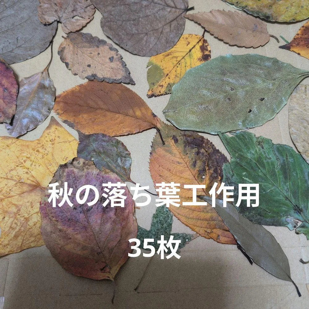 落ち葉セット ハンドメイド素材 工作用 リース作り