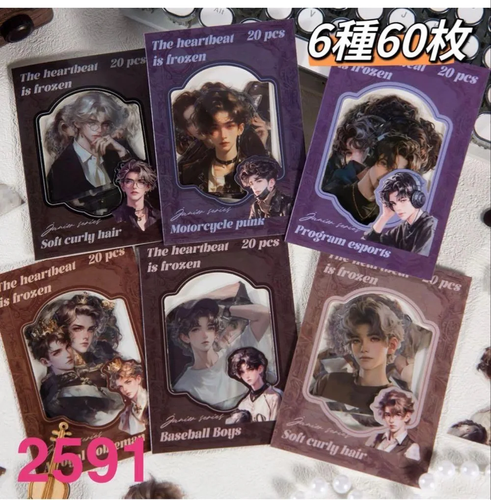 新品❗️心跳定格シリーズ PET人物柄ステッカーシール コラージュ素材6種60枚