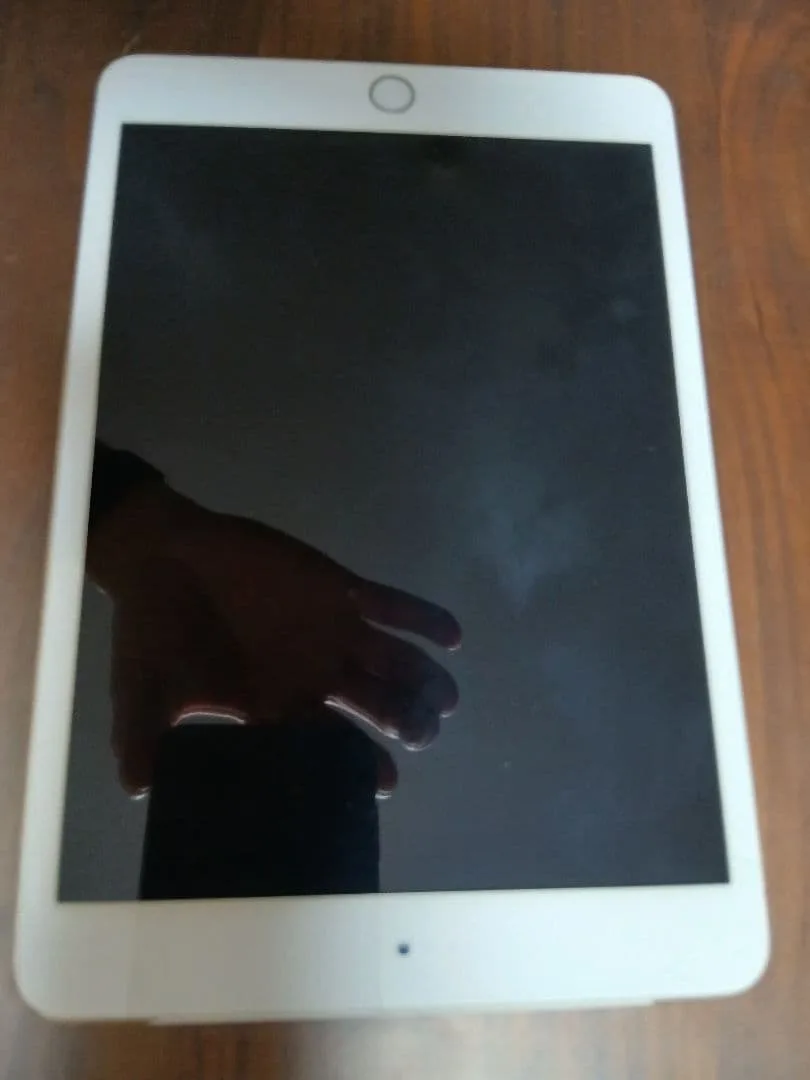 Apple iPad mini 3 本体