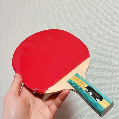 中国式ペン 中ペン 紅双喜 卓球 ラケット 裏 ソフト CS T3