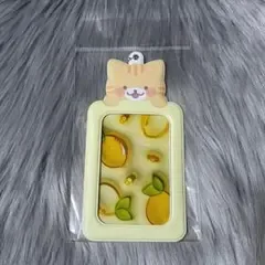 DUCKY WORLD トレカケース パスケース ねこ ネコ 猫 茶トラ