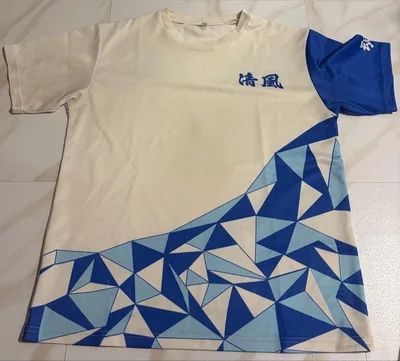 【激レア】非売品清風高校 バレーボール 練習着 Tシャツ