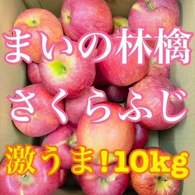 まいの林檎 10kg さくらふじ ご家庭向け 激うまりんご
