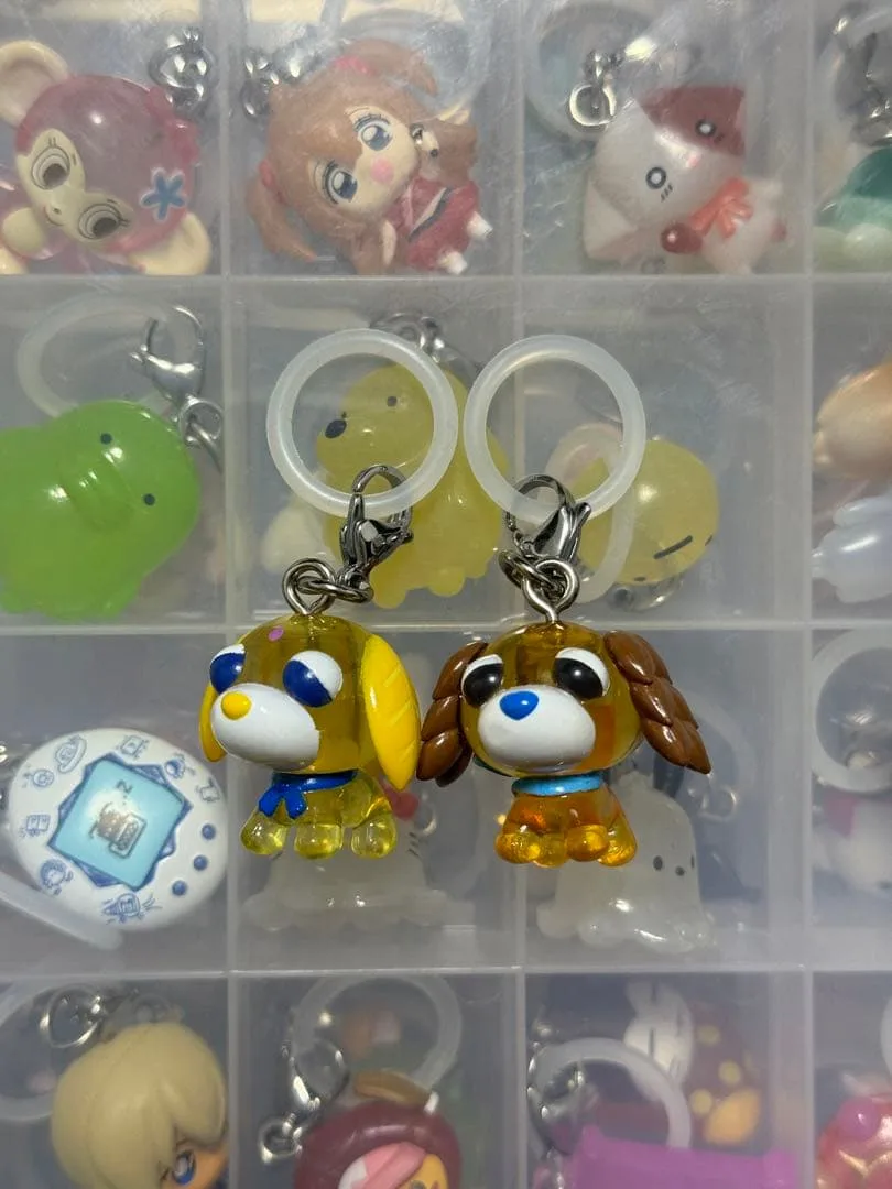お茶犬 おちゃけん めじるしアクセサリー 2点セット