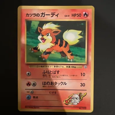 【旧裏】ポケモンカード カツラのガーディ LV.17 ジム拡張第2弾