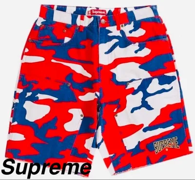 Supreme Double Knee Denim Painter Short