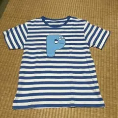 ボーダー Tシャツ 150サイズ バーパパシリーズ
