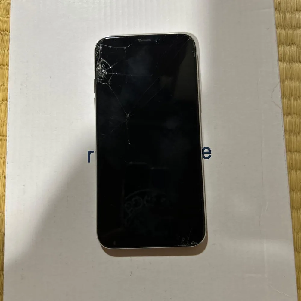 Apple iPhoneX 本体
