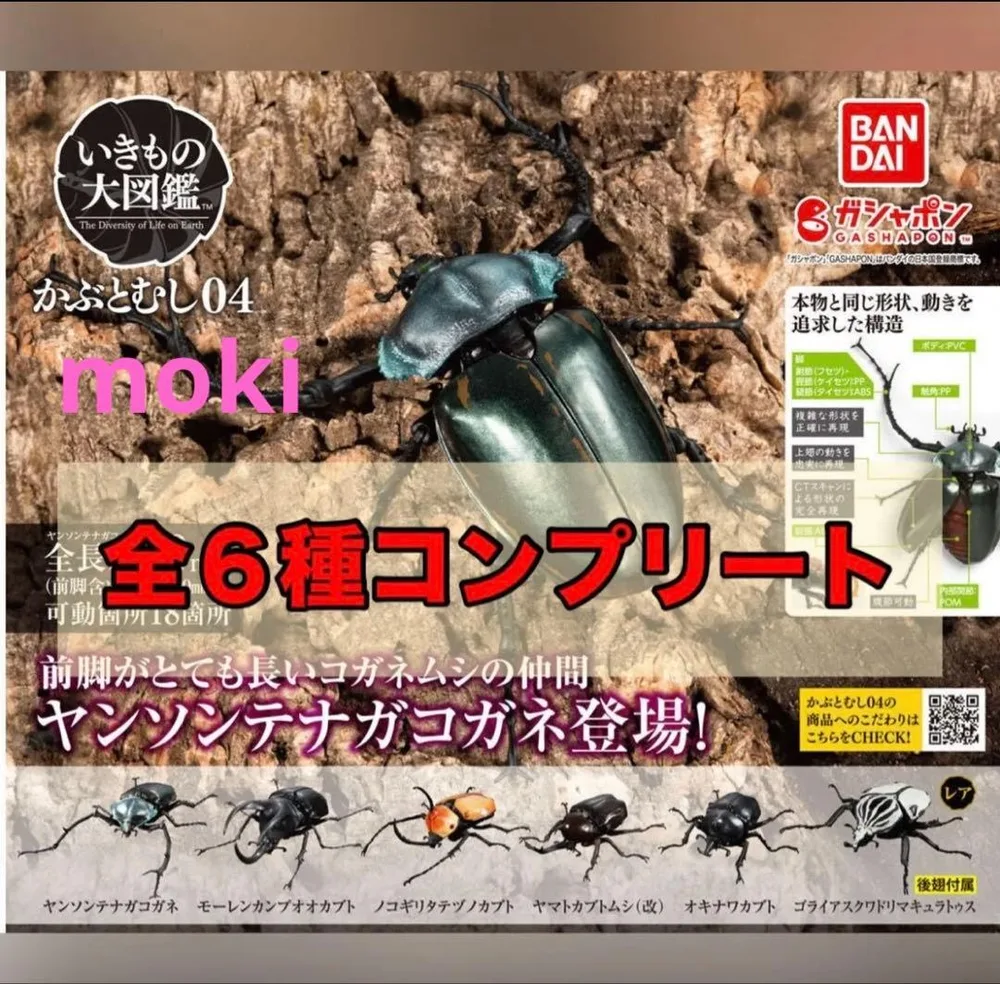 《全6種セット》 いきもの大図鑑かぶとむし04 バンダイ