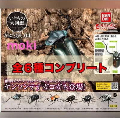《全6種セット》 いきもの大図鑑かぶとむし04 バンダイ