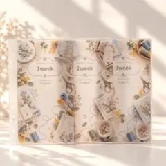 ♡刺繍♡ 家計管理 リフィル 6枚 Saving A6バインダー貯金