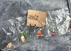 リーメント ふるさと納税便★⑤食べまっし!新鮮野菜セット