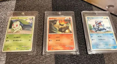 ポケモンカード 旧チコリータ ヒノアラシ ワニノコ 3枚セット