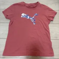 Tシャツ 半袖 カットソー ピンク プリント スポーツ S