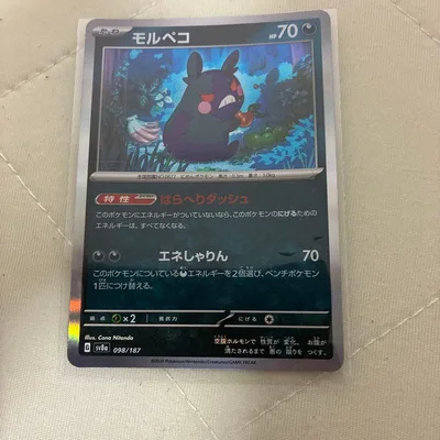 モルペコ スカーレット&バイオレット ハイクラスパック テラスタルフェスex …