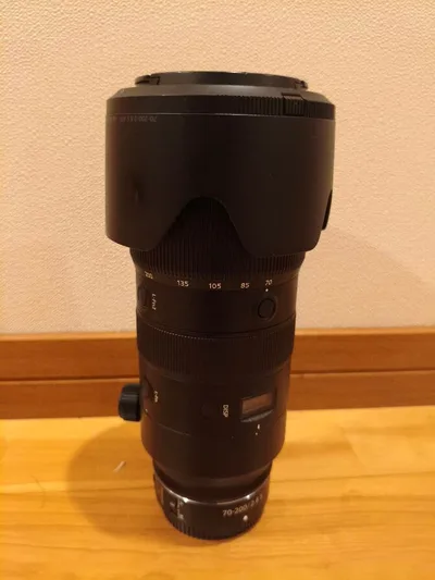作例あり NIKKOR Z 70-200mm f/2.8 VR S