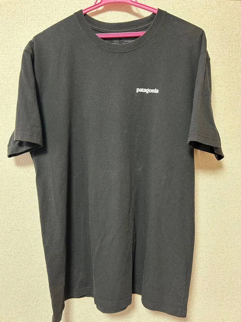 Patagonia パタゴニア Tシャツ ブラック L