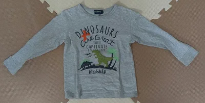 klädskåp クレードスコープ 恐竜 長袖Tシャツ 110cm