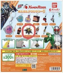 仮面ライダーめじるしアクセサリー エクストリームメモリ