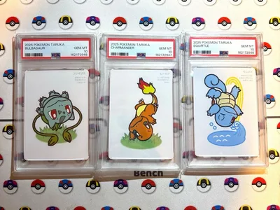 【PSA10】ポケモンタルカ 御三家 3連番