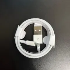 1M 1本 iPhone 充電ケーブル 急速充電 ライトニング 充電 純正品質