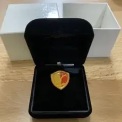 鹿島アントラーズ ネクタイピン/ピンバッジ 未使用品