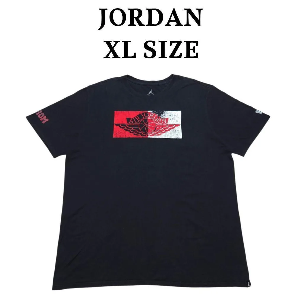JORDAN ウイングロゴビッグプリント Tシャツ ジョーダン 袖プリ