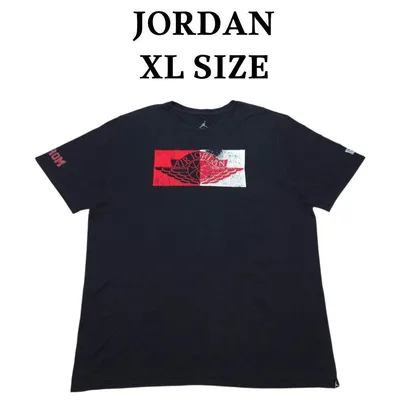 JORDAN ウイングロゴビッグプリント Tシャツ ジョーダン 袖プリ