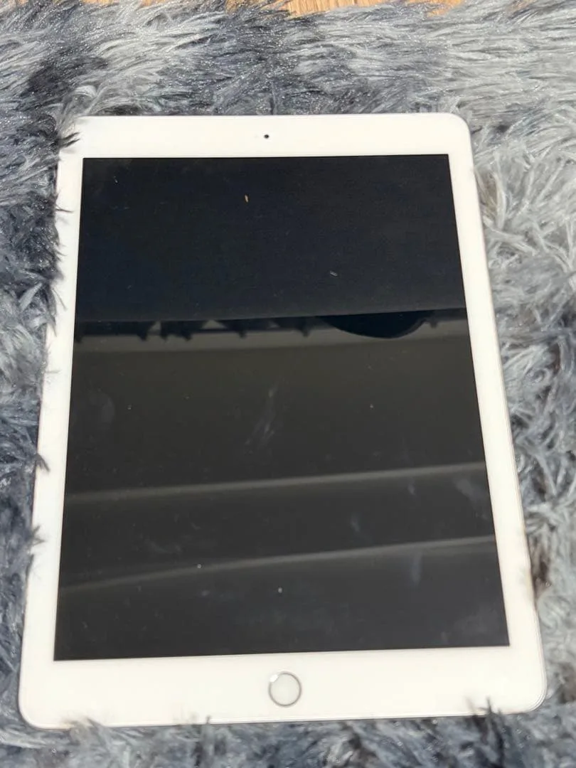 Apple iPad 本体