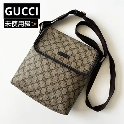 未使用級✨GUCCI グッチ GGスプリーム ショルダーバッグ 223666
