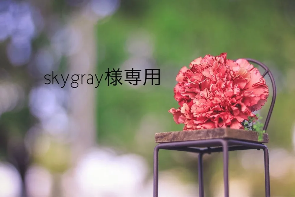 skygray様専用