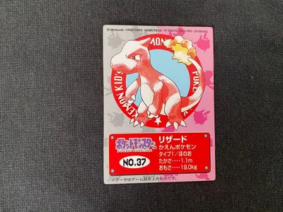 ポケモンキッズカード リザード