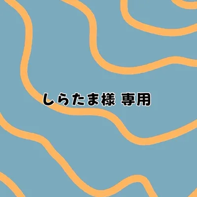 【しらたま様 専用ページ】オーダー品