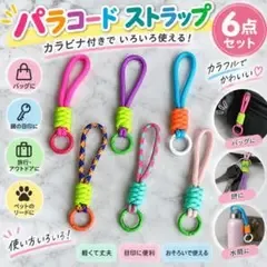 パラコード キーホルダー 6個セット カラフル ストラップ カラビナ 推し活