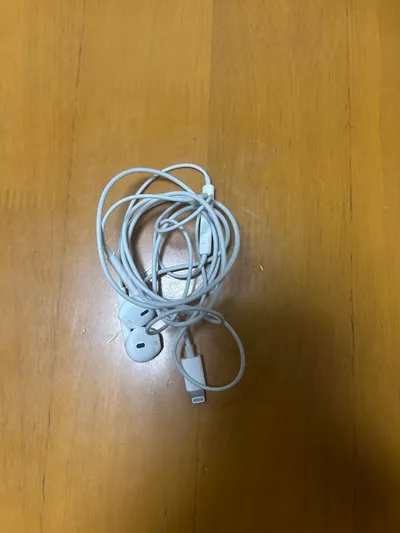 iPhone 有線イヤホン Lightning 正規品