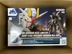 RG 1/144 Gundam Base Limited Freedom Gundam Ver.GCP