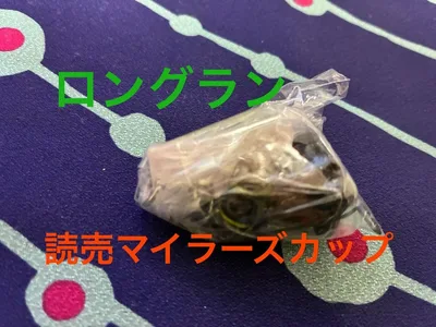 ロングラン 読売マイラーズカップ アイドルホース ミニコレクション 42