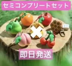 どうぶつの森 フルーツキーホルダーコレクション セミコンプセット
