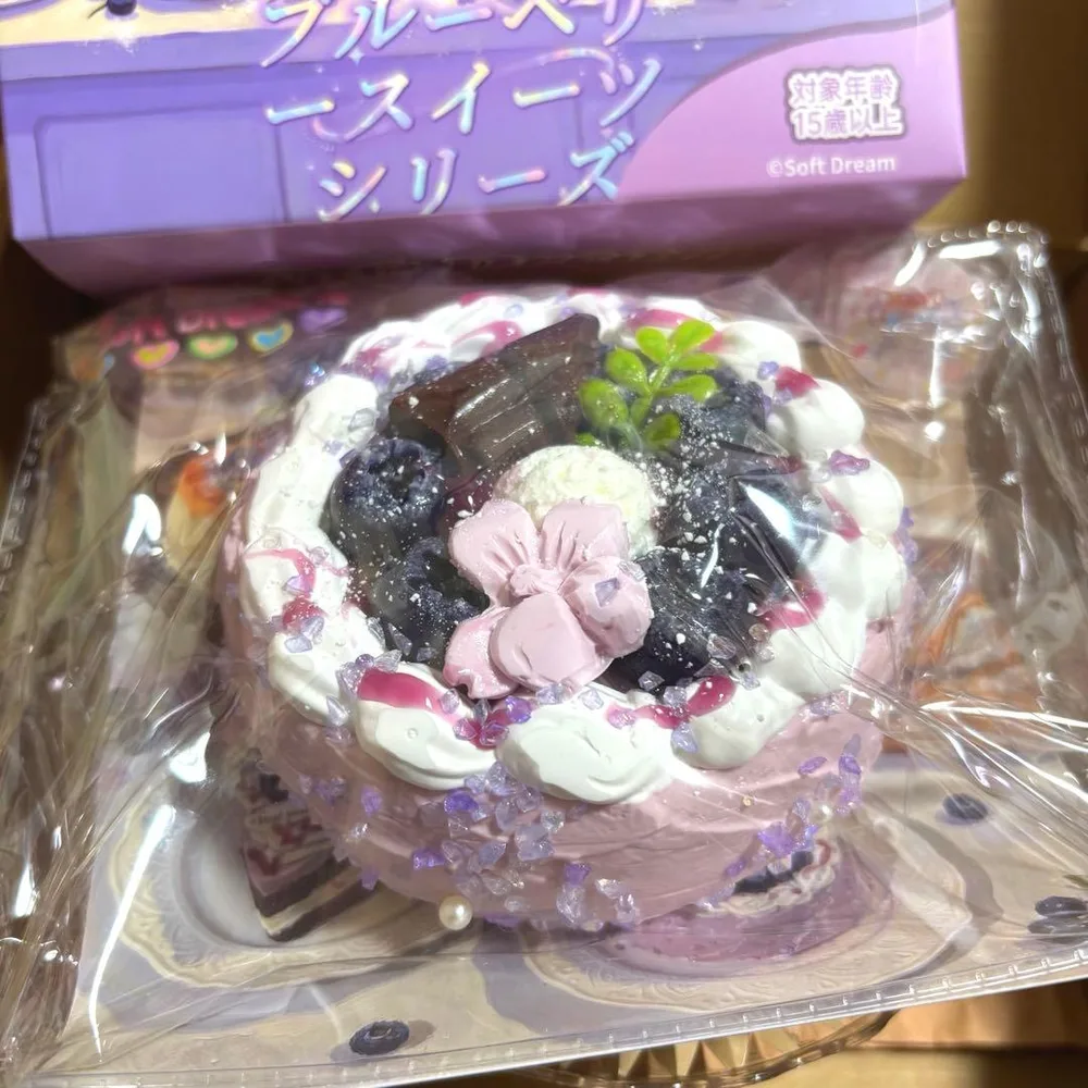 SoftDream ソフトドリーム 新作 ブルーベリー ホールケーキ スクイーズ