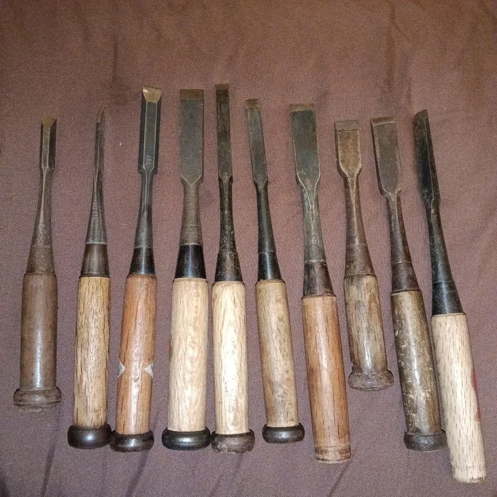 ノミ 10本セット