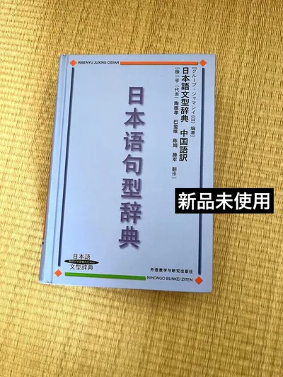 新品未使用 N1 N2 日本語句型辞典 中国語訳 学習者のための日本語文型辞典