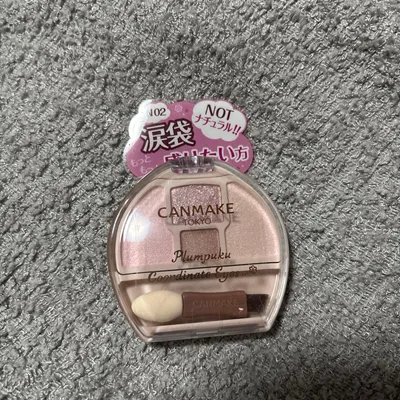 CANMAKE プランぷくコーデアイズ N02
