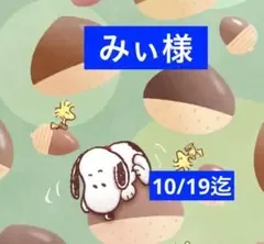 みぃ様 専用ページ