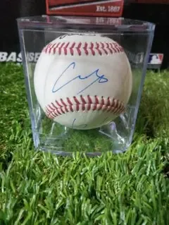 ケース付き!大谷翔平 山本由伸 直筆サインボール ローリングス