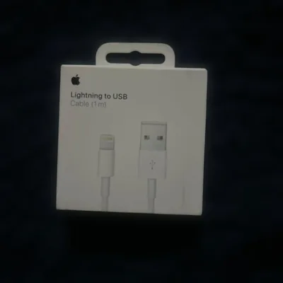 Apple Lightning to USB Cable 1m