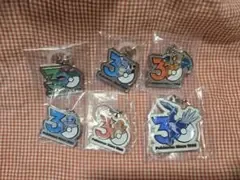 ポケモン 30周年 メタルチャームマスコット 5種セット