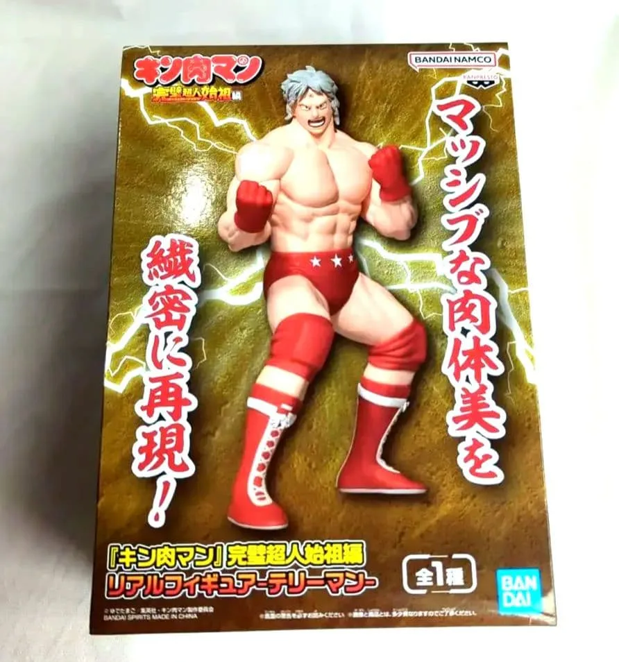 キン肉マン 完璧超人始祖編 リアルフィギュア テリーマン